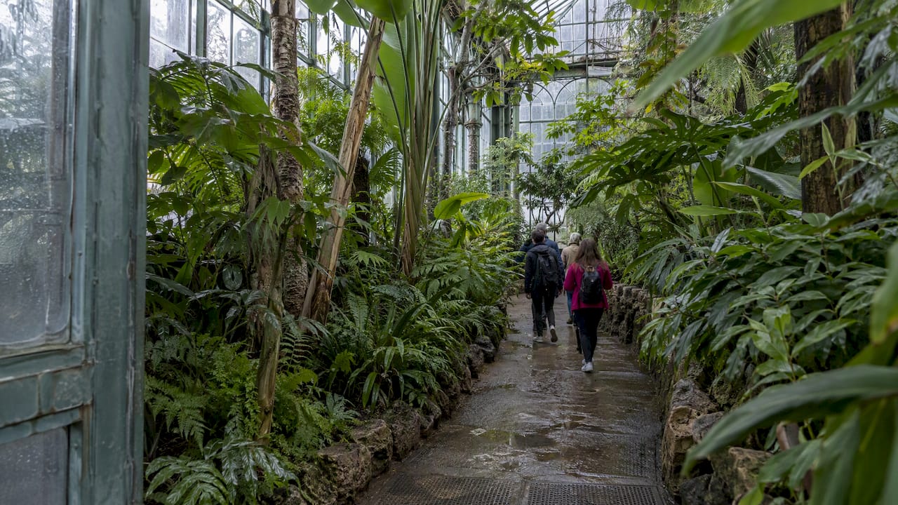 Allée végétale dans une serre botanique à Paris
